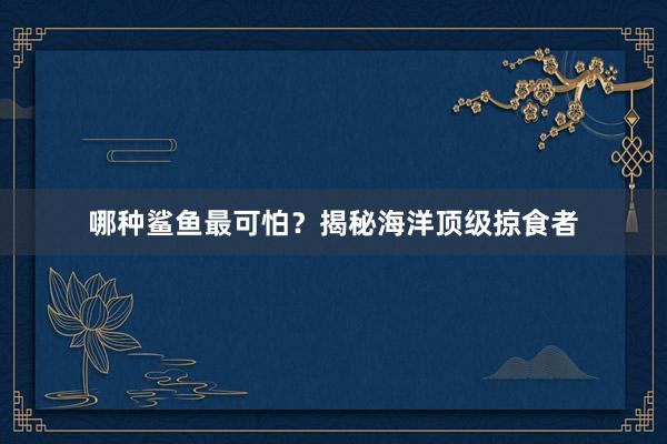 哪种鲨鱼最可怕？揭秘海洋顶级掠食者